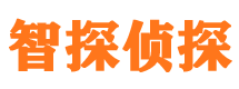 那坡市婚外情调查